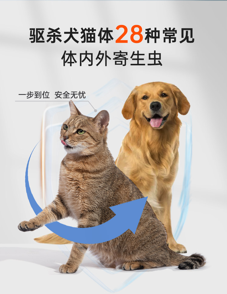 新品详情-猫_02.jpg