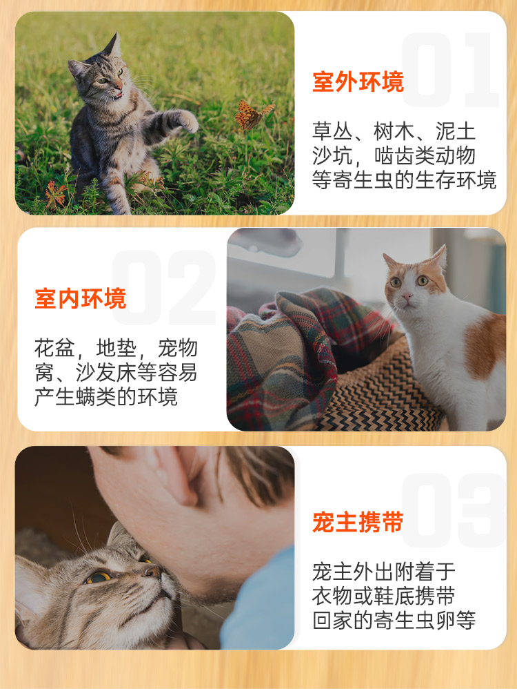 新品详情-猫_06.jpg